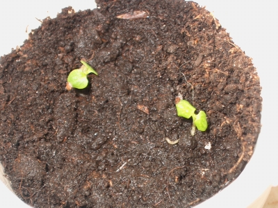 Gamm und Delt am 22.04.2007